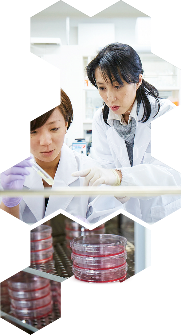 甲南大学フロンティアサイエンス学部