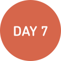 DAY7