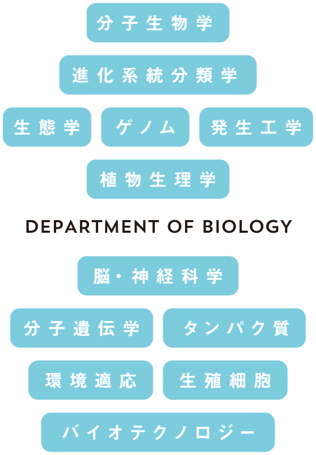 DEPARTMENT OF BIOLOGY - 分子生物学 進化系統分類学 生態学 ゲノム 発生工学 植物生理学 脳・神経科学 分子遺伝学 タンパク質 環境適応 生殖細胞 バイオテクノロジー