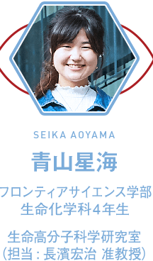 青山星海(SEIKA AOYAMA 理工学部 物理学科4年生 生命高分子科学研究室 (担当:長濱宏治 准教授))