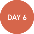 DAY6