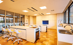 Kitchen(キッチン) 画像