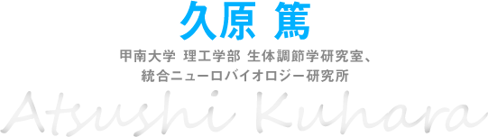 久原 篤 甲南大学 理工学部 生体調節学研究室、統合ニューロバイオロジー研究所