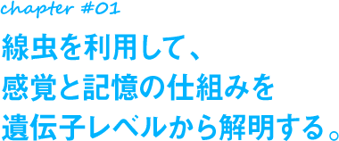 chapter#01 線虫を利用して、感覚と記憶の仕組みを遺伝子レベルから解明する。