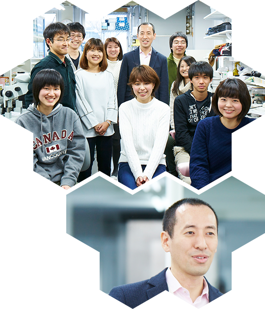 甲南大学 理工学部 生体調節学研究室