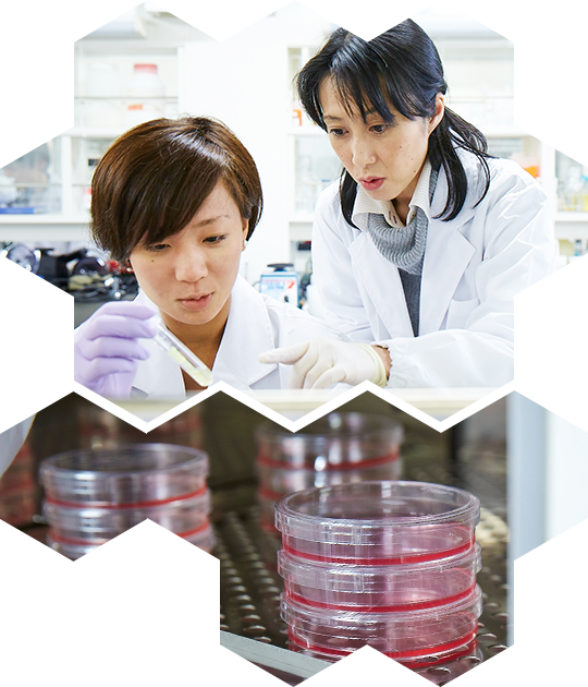 甲南大学フロンティアサイエンス学部